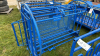 Marweld Sheep Handling System with Extension - 5