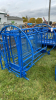 Marweld Sheep Handling System with Extension - 6