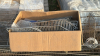 Quantity of Misc. Steel Store Shelving - 2