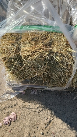 100 Bales of 1st Cut Hay