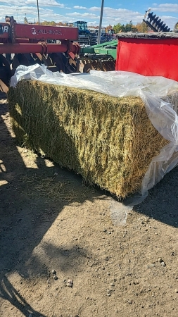 36 - 3x4x7 Bales of 3rd Cut Alfalfa Hay