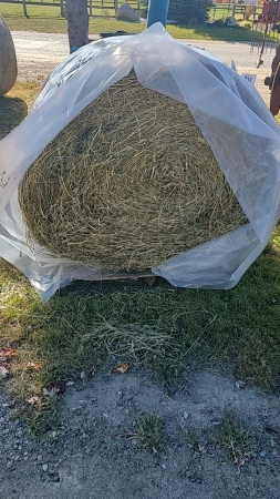 25 - 4x4 Round Bales of 2nd Cut Hay