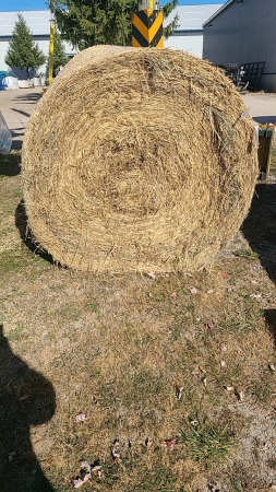 50 - 4x5 Round Bales of Timothy/Brome Hay