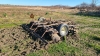 11ft Disc with Busterbar Harrow - 6