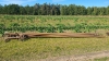 Approx. 22 Lengths of 2in Irrigation Pipe - 2