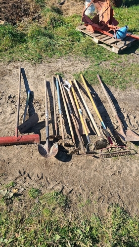 Lot of Hand Tools