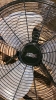 18 inch electric fan - 3