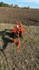 Allis Chalmers 2 Furrow Snap Coupler Plow - 2