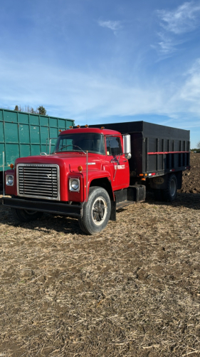 1977 International Loadstar 1600 Truck