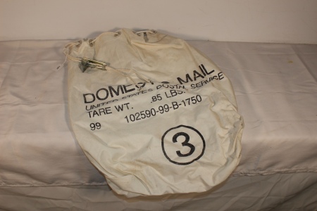 Domestic Mail Delivery Bag