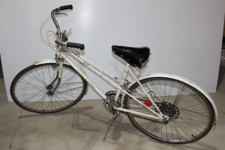 JD Pedal Bike, 5 Speed 19" Frame, as Found