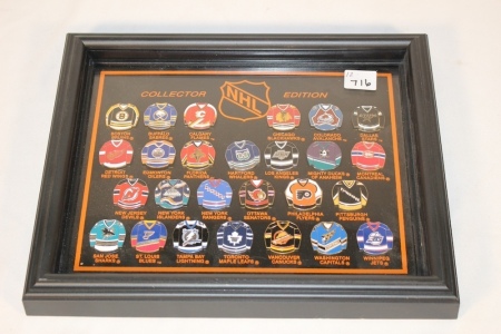 NHL Jersey Collector Pins In Framed Case