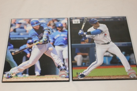 Toronto Blue Jay Plaqued Pictures, 8 X 10