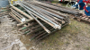 Scaffold Lot - 3