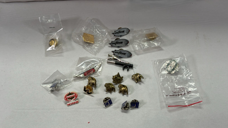 Assorted Pin Lot