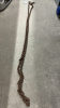 15ft Logging Chain with 2 Hooks