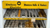 Delco Guide Light Rack - 4