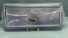 Decorative Royal Stafford Shire - 15