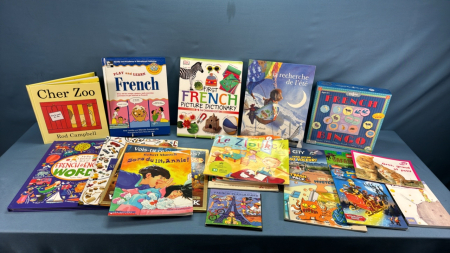 Lot of French Childrens Books