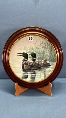 Framed Loon Collector Plate