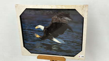 Framed Eagle Print