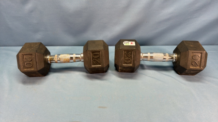 Pair of 20lbs Exercise Weights