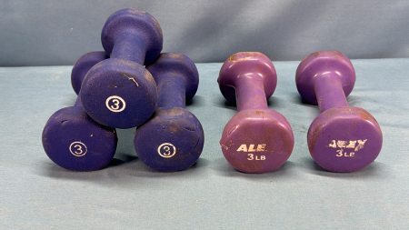 (5) 3Lb Exercise Weights