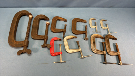 Assorted Sea Clamp Lot