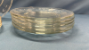 (6) Glass Plates &(5)Matching Glass Plates - 2