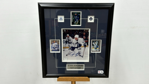 Toronto Maple Leafs Tie Domi Picture