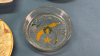 Assorted Dish Lot - 3