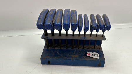 10 PC SAE Allan Key Set