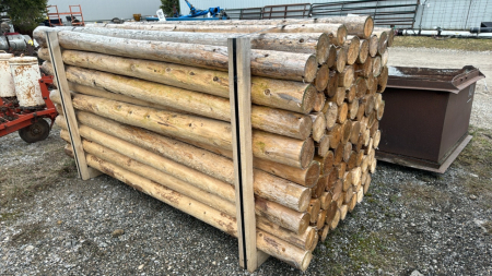 81 -4in x 8ft Cedar Posts