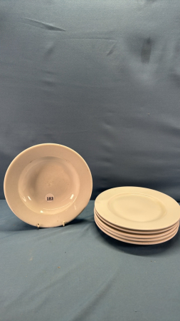 (5) 9" Dinner Plates & (1) 9" Pasta Bowl