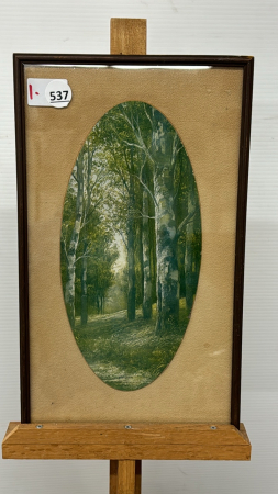 Forest Print