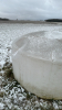 1000L Poly Tank - 6