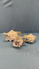 Royal Bayreuth 3 Piece Grape Pattern Tea Set