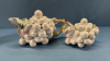Royal Bayreuth 3 Piece Grape Pattern Tea Set - 3