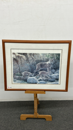 Lynx with Cubs Print on Board by Calvert