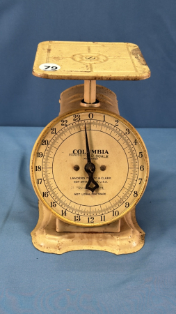 Columbia Kitchen Scale 8" High