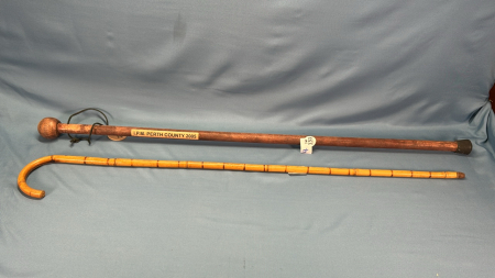 Cane & 2005 IPM in Perth County Walking Stick