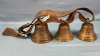 Strap with 3 Brass Bells - 4