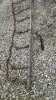 Approx. 13ft Chain Drag - 4