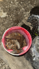 Large Lot of Parts - 6