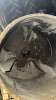 Electric Cement Mixer - 6