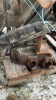 High Flow 2 Way Wet Line KIP Pumps - 6
