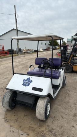 Gas Golf Cart