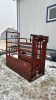 Cattle Squeeze w/Headgate