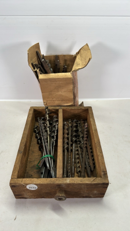 Large Quantity of Wood Drill Bits