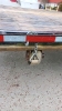 2006 Canada Trailers 25ft Gooseneck Float - 11